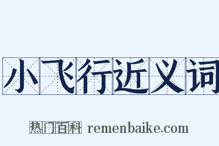 小飞行近义词是什么意思的图片